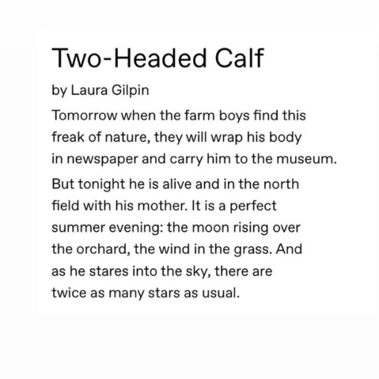 Image of the Two-Headed Calf poem. Black sans serif on white background